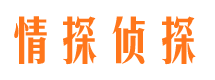 阆中侦探公司